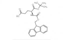Fmoc-Glu-OtBu CAS号：84793-07-7