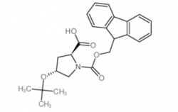 Fmoc-Hyp(tBu)-OH CAS号：122996-47-8