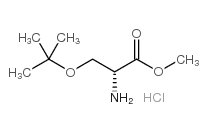 H-D-Ser-OMe·HCl CAS号： 78537-14-1