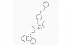 Fmoc-Tyr(Bzl)-OH CAS号： 71989-40-7