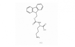 Fmoc-Orn-OH·HCl  CAS号：201046-57-3