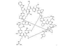 精氨酸/赖氨酸香蕉视频91色版